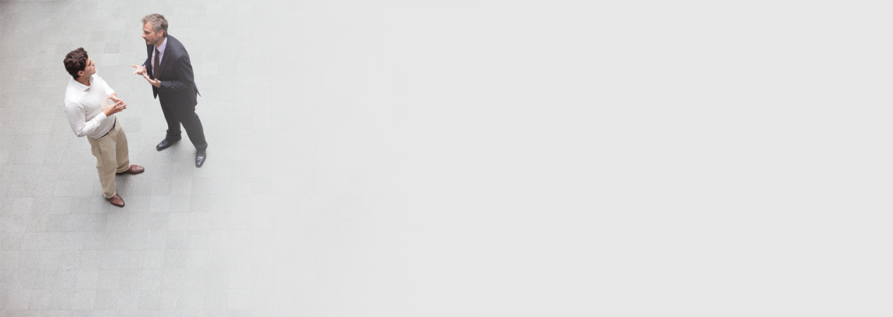 Гибкое партнерство